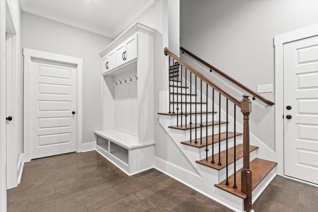 mudroom featuring ornamental molding and dark wood-type flooring