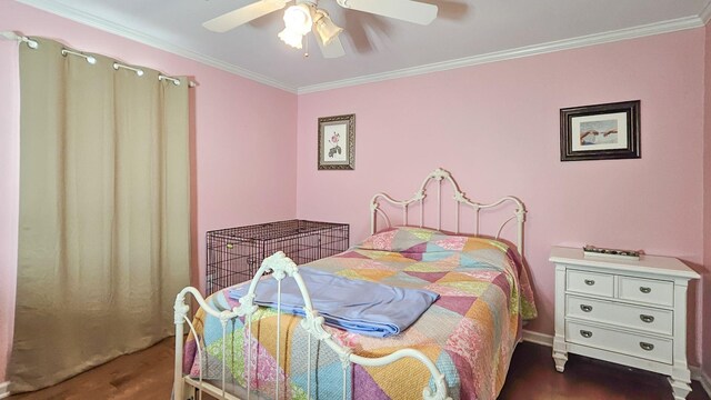  - photo 32