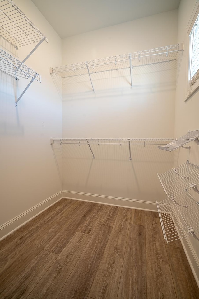 walk in closet featuring dark wood-type flooring