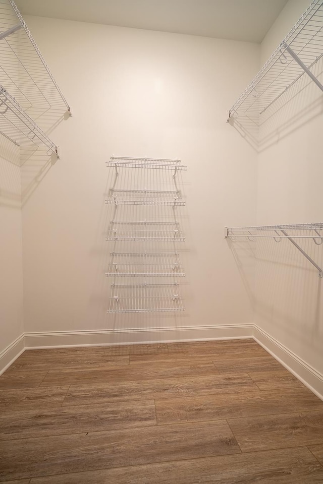 spacious closet with dark wood-type flooring