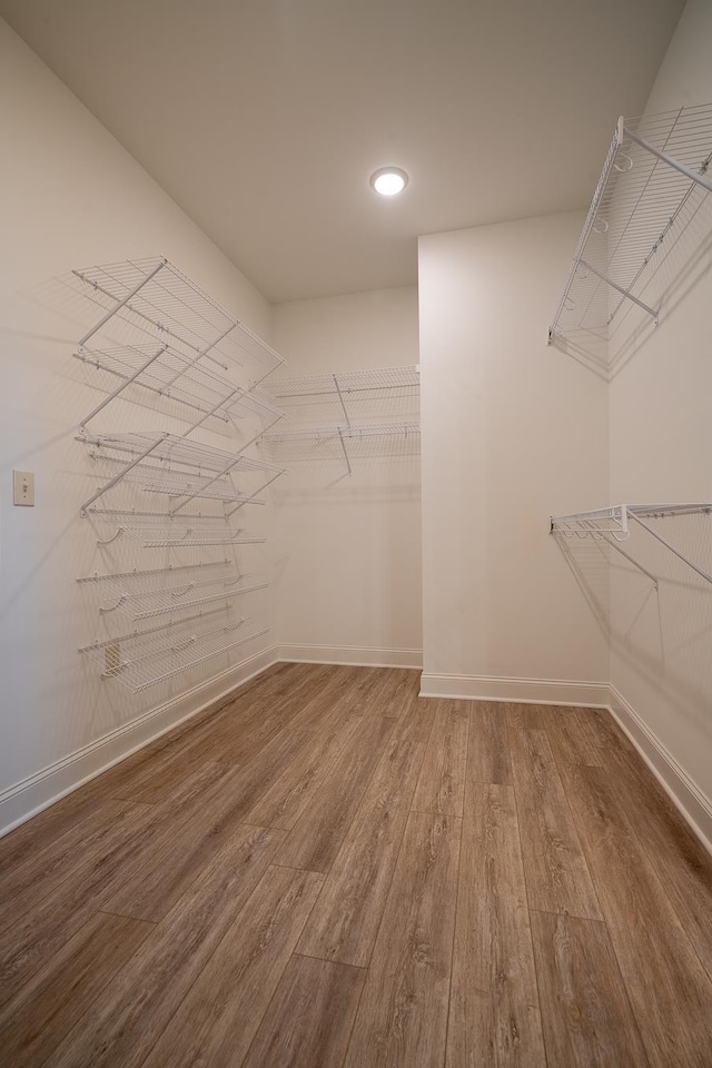 walk in closet with hardwood / wood-style floors