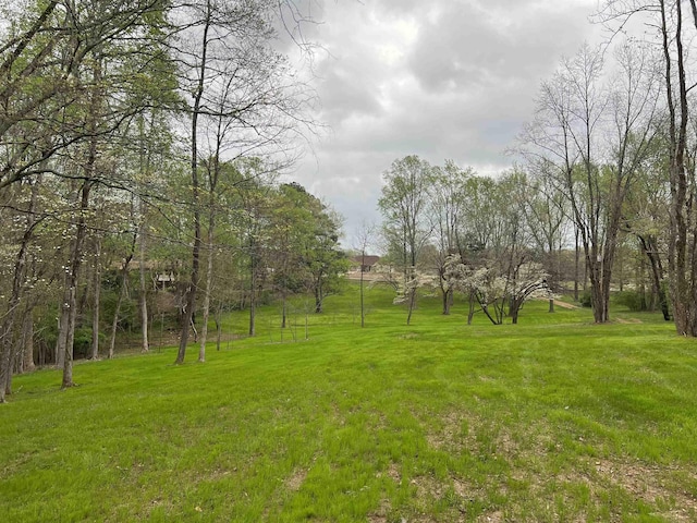 617 S Alabama St, Killen AL land for sale