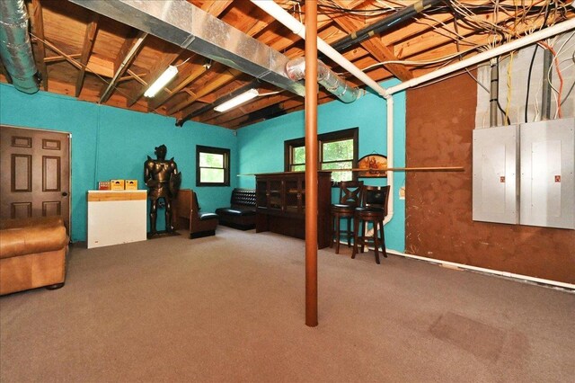  - basement with carpet flooring