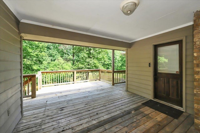  - view of wooden terrace