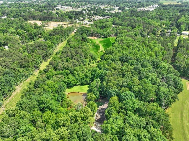  - aerial overview of property's location with a forest and a large body of water
