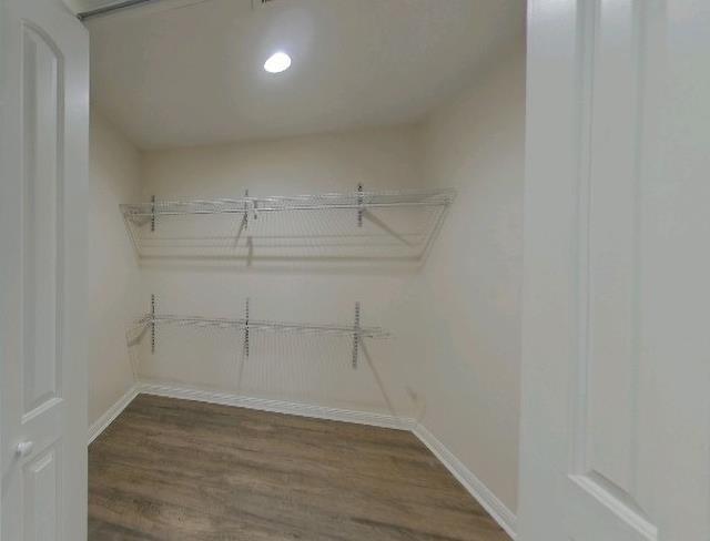 spacious closet featuring dark wood-type flooring