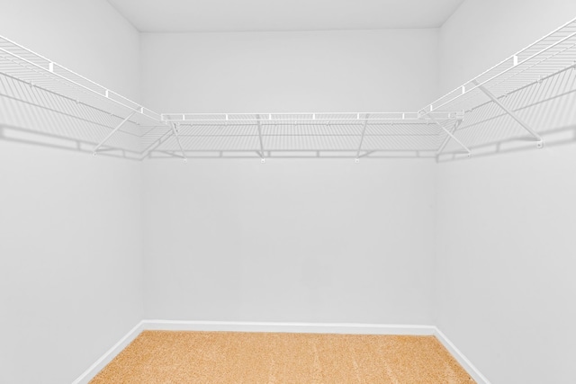  - spacious closet with carpet floors