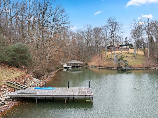 dock area featuring a water view