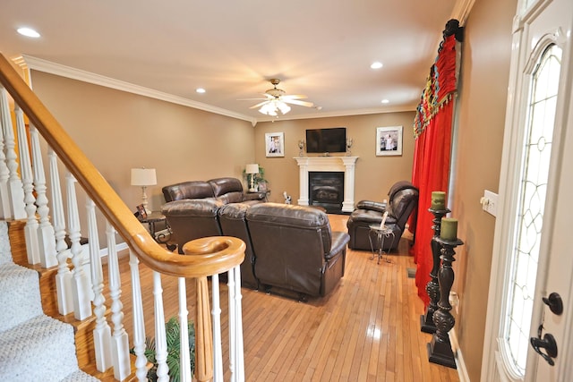 living room with ornamental molding, ceiling fan, and light hardwood / wood-style flooring