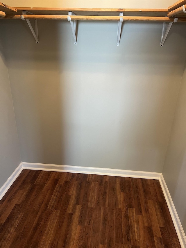  - walk in closet featuring dark wood-type flooring