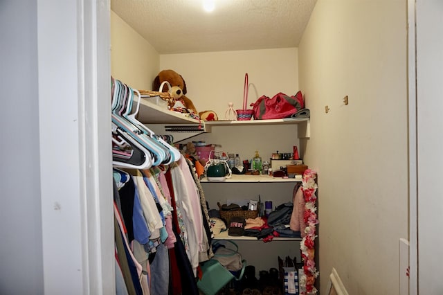 view of walk in closet