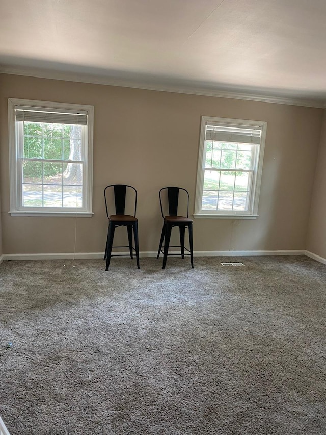 unfurnished room featuring carpet and ornamental molding