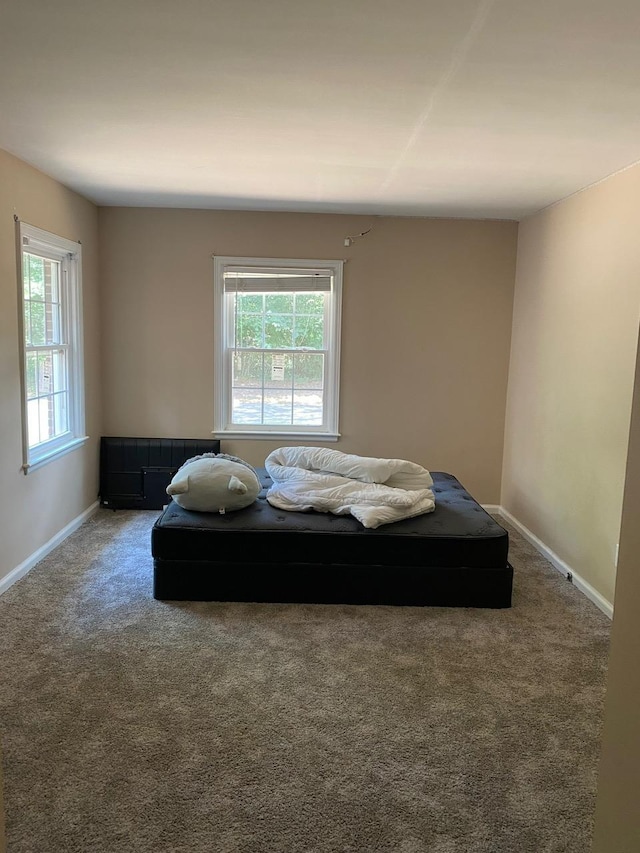 bedroom with multiple windows and carpet