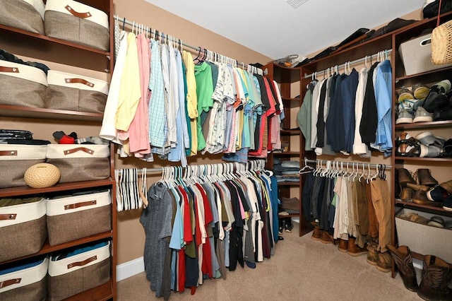 spacious closet featuring carpet