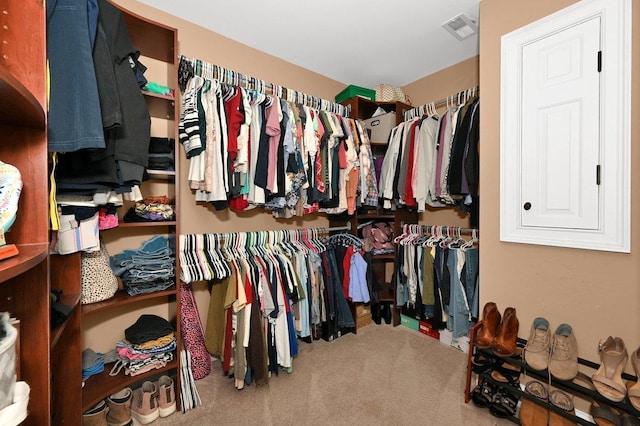 spacious closet featuring carpet floors