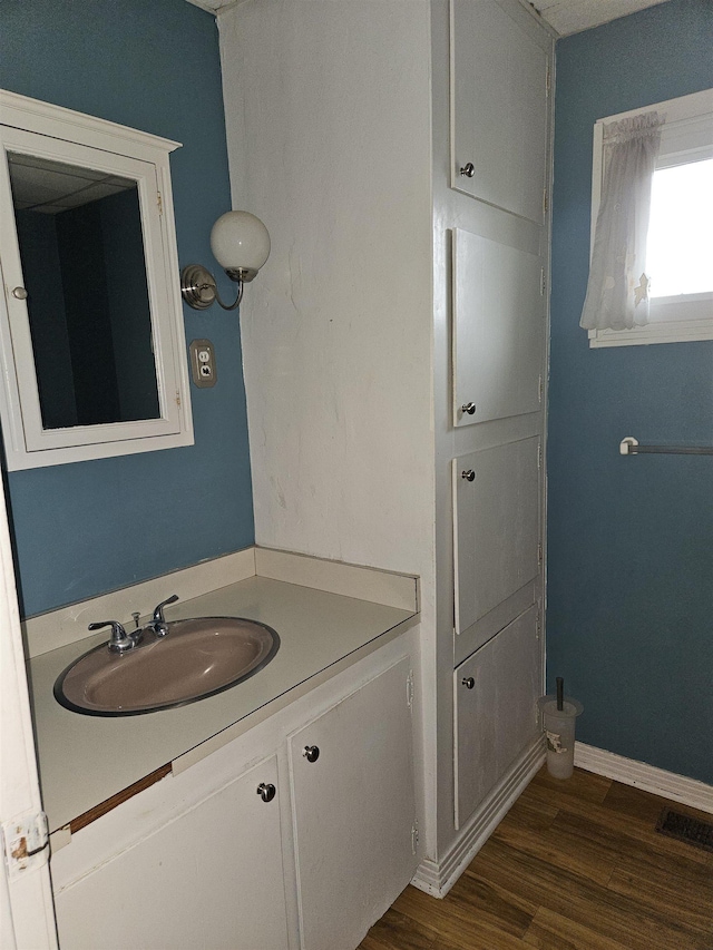 bathroom featuring vanity and wood-type flooring