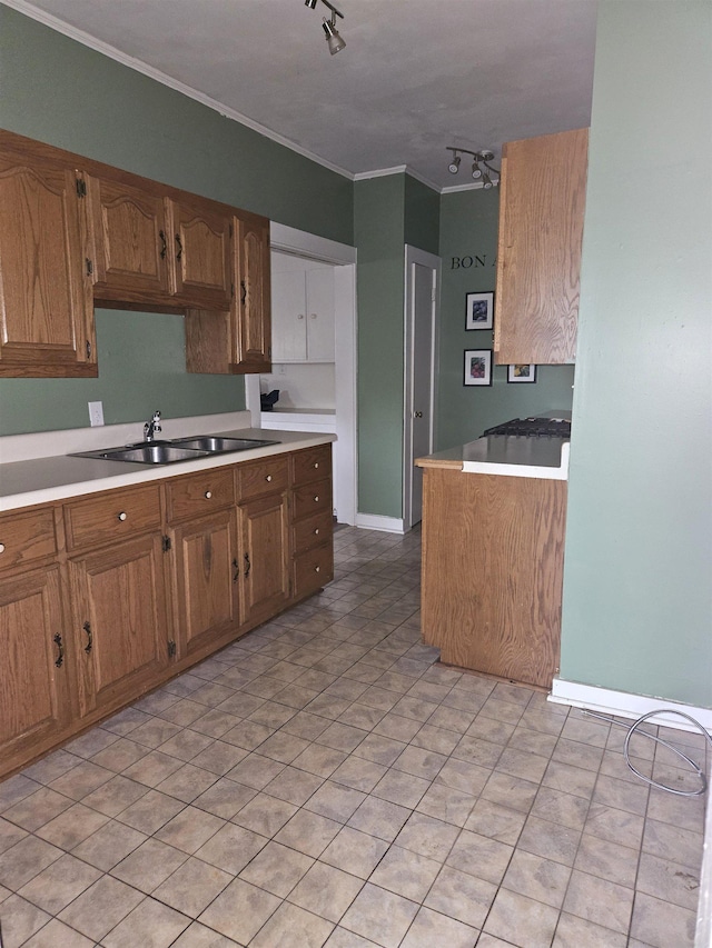 kitchen with crown molding and sink