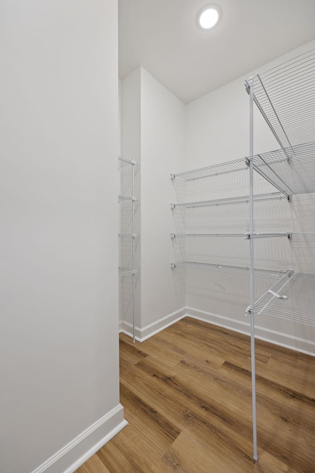 spacious closet featuring wood-type flooring