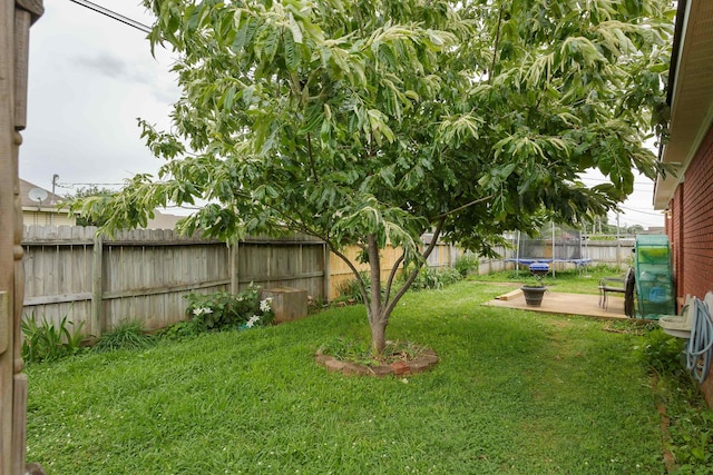 view of yard with a trampoline and a patio