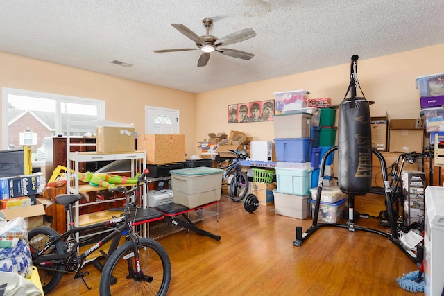 storage with ceiling fan