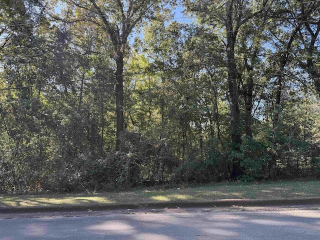 LOT36 Pickwick St, Sheffield, AL - photo 1