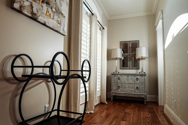 interior space with crown molding and dark hardwood / wood-style floors