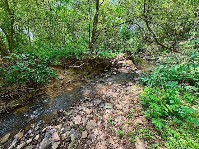  - view of local wilderness