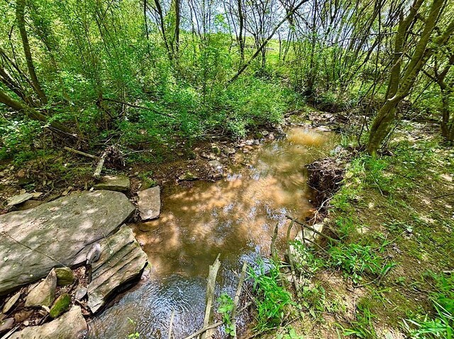  - view of undeveloped land