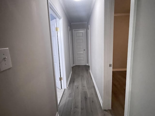 hallway featuring crown molding and light hardwood / wood-style flooring