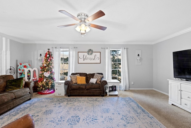 carpeted living room with ceiling fan and crown molding