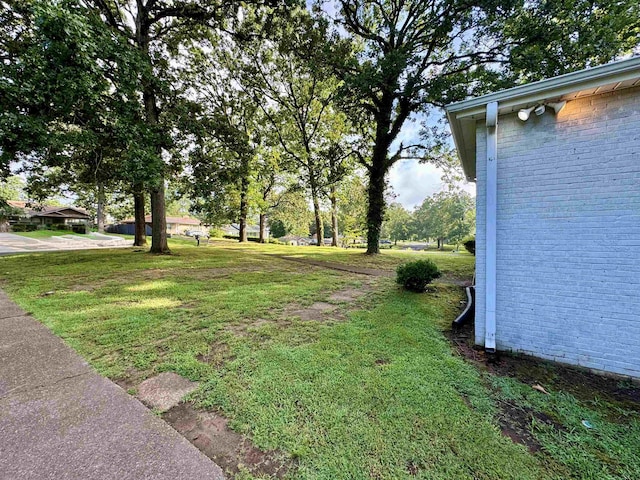  - view of green lawn