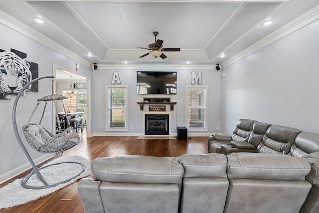 living room featuring a raised ceiling, crown molding, ceiling fan with notable chandelier, and hardwood / wood-style floors