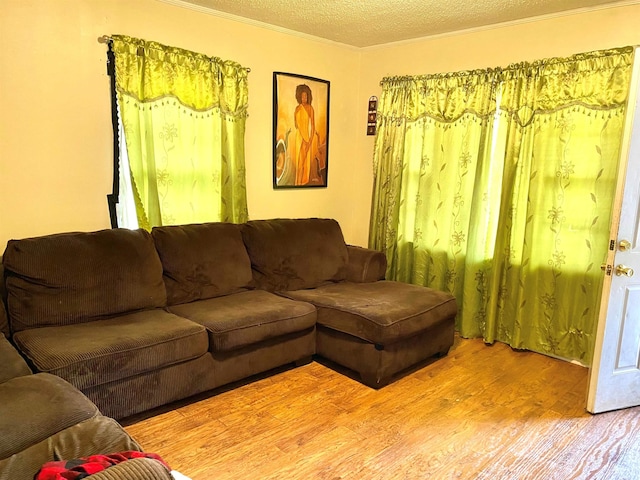 living area with ornamental molding, a textured ceiling, and wood finished floors