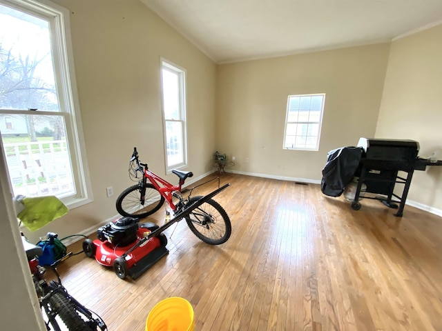 exercise area with a wealth of natural light, ornamental molding, baseboards, and hardwood / wood-style flooring