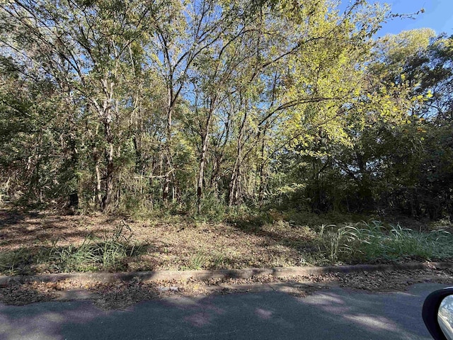 LOT3 Oakhill Ave, Sheffield, AL - photo 1