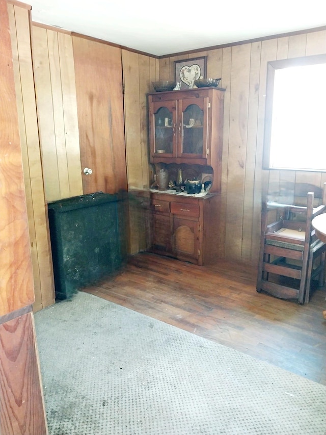 interior space featuring wood walls and light wood-type flooring