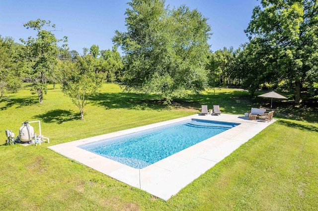 view of pool with a yard and a patio