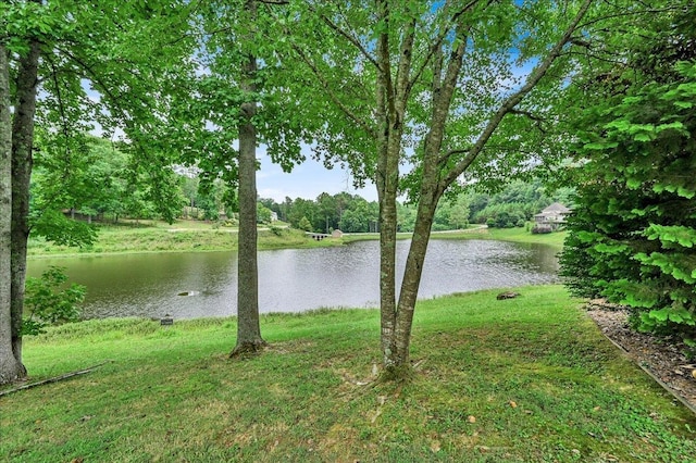 water view