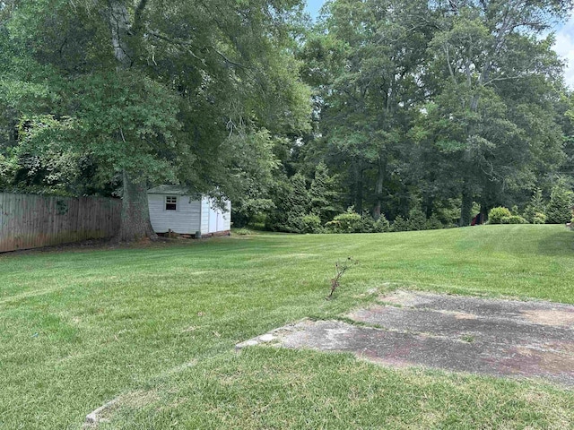  - view of yard