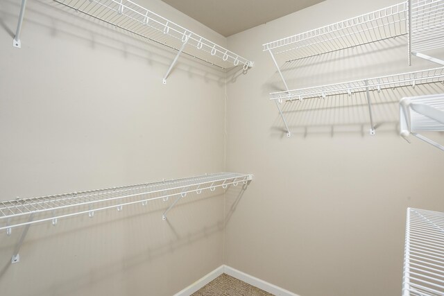  - photo 30