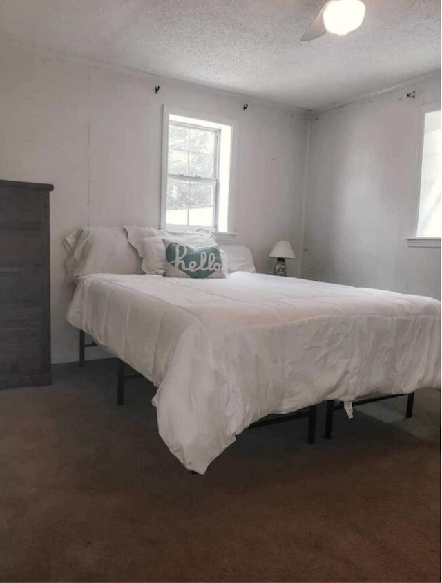 bedroom with multiple windows and a textured ceiling