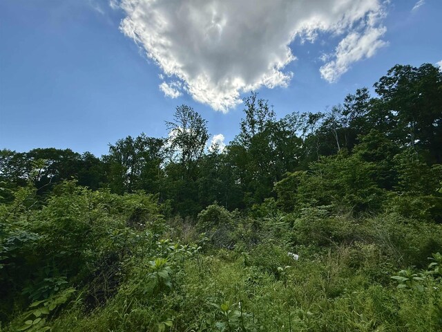  - photo 7