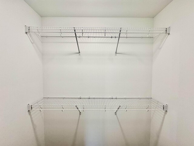  - photo 17