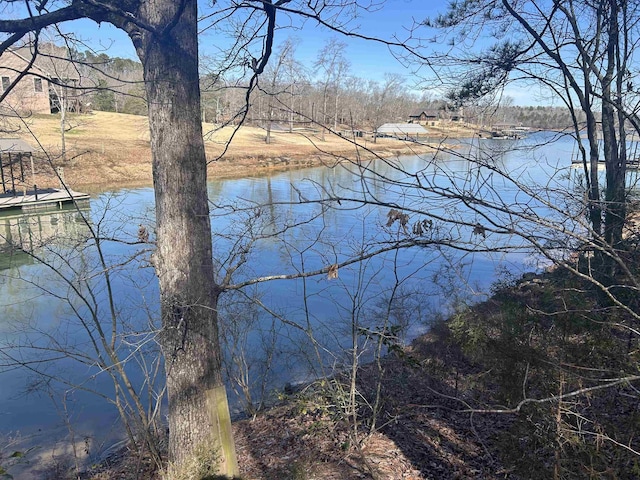 LOT167 Stoney Pt, Double Springs AL land for sale