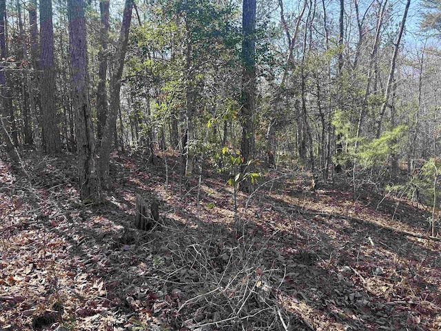 Listing photo 3 for LOT167 Stoney Pt, Double Springs AL