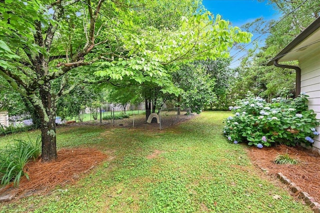  - view of yard
