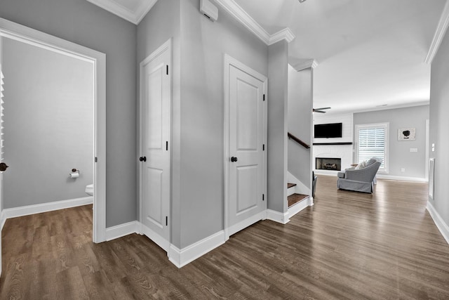 hall featuring crown molding and dark wood-type flooring