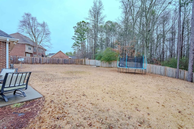 view of yard featuring a trampoline