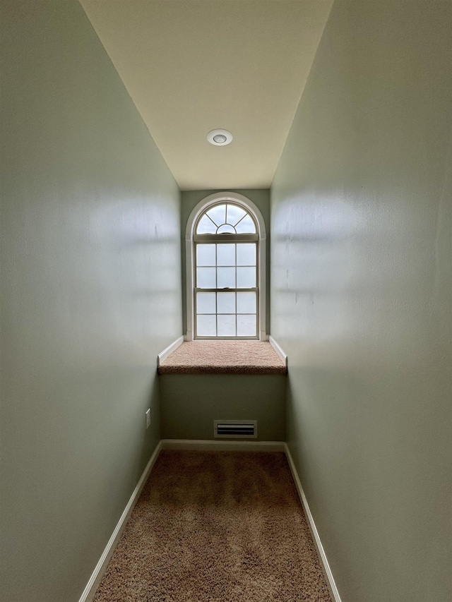  - photo 29