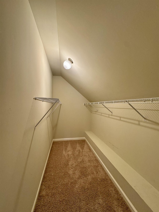  - photo 27